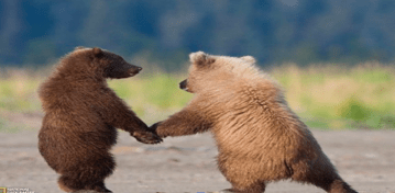 Why Startups and PR Firms Are A Good Match